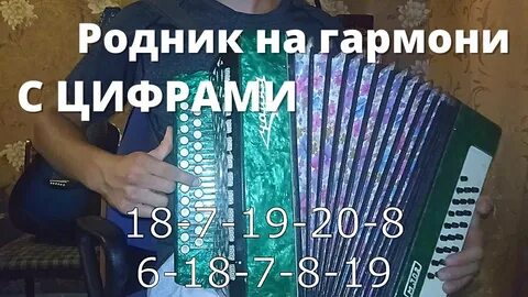 Цифры для гармони