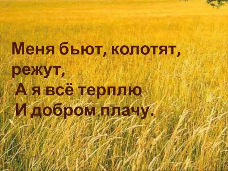 Пословицы о земле кормилице и растениях. Загадки и пословицы о земле. загадки о земле кормилице и растениях. загадки о почве. загадки о земле кормилице.
