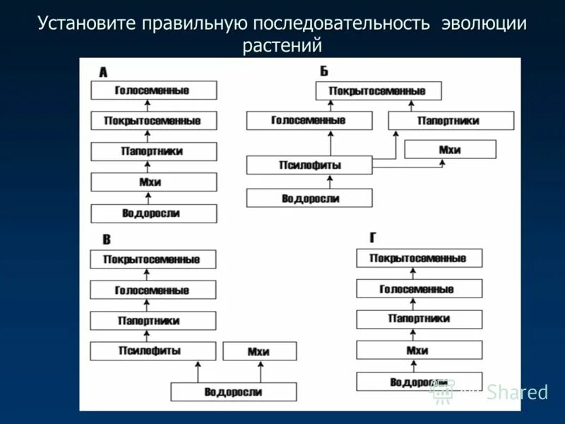 Появления основных групп растений на земле. Последовательность эволюции растений. Порядок возникновения растений. Последовательномть Эвол. Последовательность появления растительности.