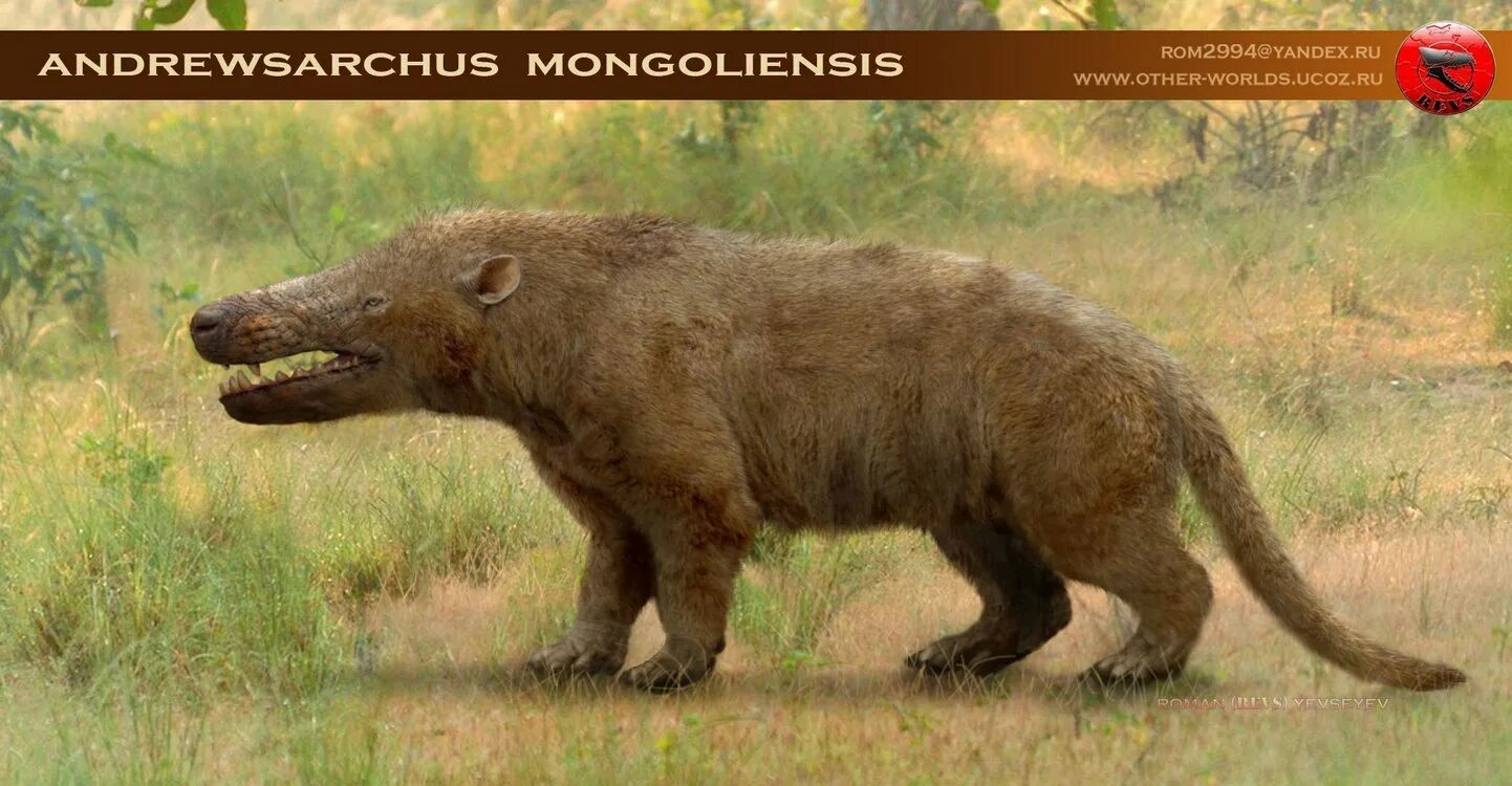 Вымерший гигант 9 букв сканворд. Andrewsarchus mongoliensis. Эндрюсарх Жеводанский. Мезонихии Жеводанский зверь. Эндрюсарх вымершие.