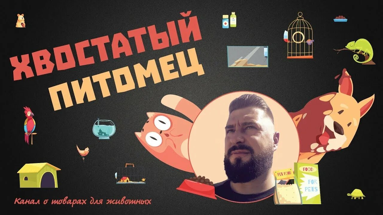 Хвостатый питомец. Хвостатый питомец вк. Сергей модлый дегустатор кормов. Хвостатый питомец. Выставка-раздача бездомных животных "хвостатый день".