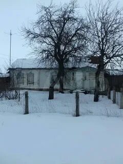 Погода новый курлак воронежской