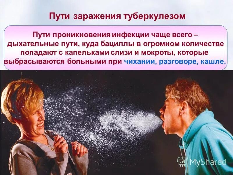 Туберкулез передается воздушно. Туберкулез передается воздушно