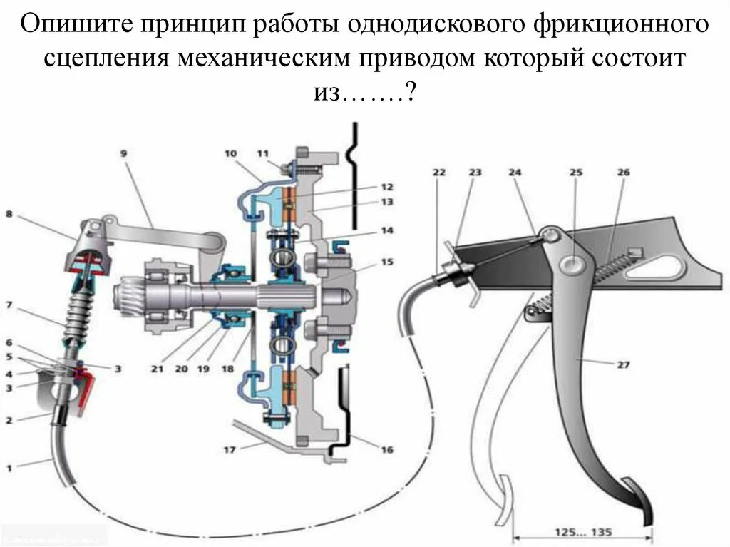 Механический привод сцепления ВАЗ 2114. Схема устройства гидравлического привода сцепления. Сцепление схема и принцип работы. Принцип работы сцепления механической коробки передач. Кто является ответственным за сцепление вагонов