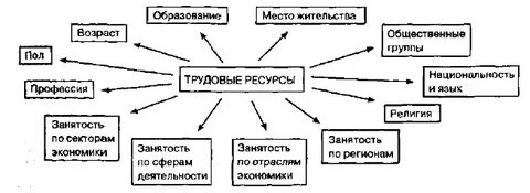 Социально трудовая структура экономики