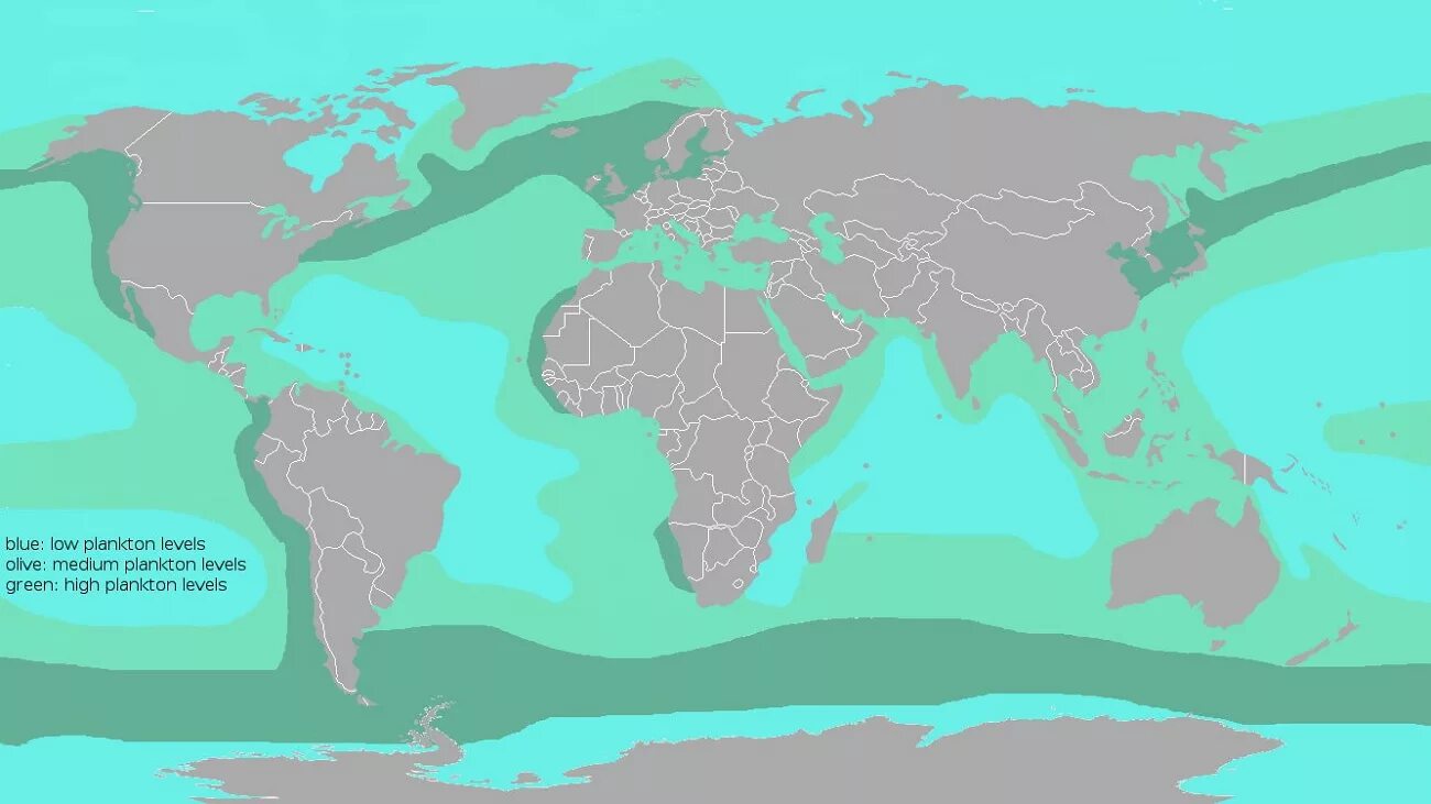 Карта распространения планктона. Распределение планктона в мировом океане. Карта распределения планктона. Планктон в мировом океане карта. Распространение животных в мировом океане