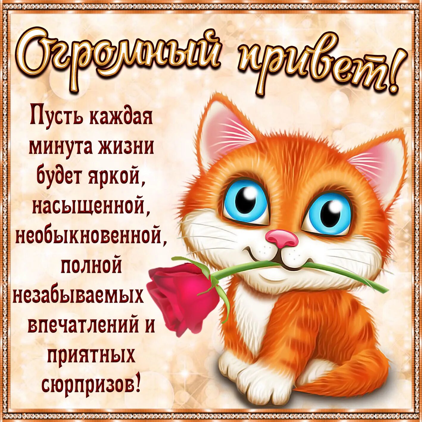 Пусть будет статусы. Открытки. Открытки привет. Открытки с пожеланиями. Красивые открытки с пожеланиями.