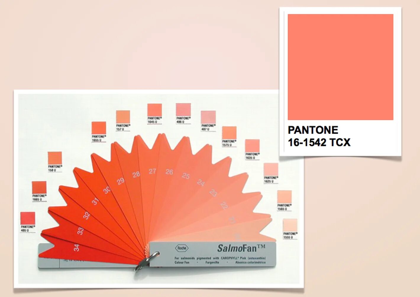 SALMOFAN lineal для рыбы. Розовый пантон. Лососевый цвет пантон. Шкала цветности SALMOFAN. Pantone mushroom