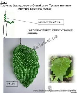 Техника листа