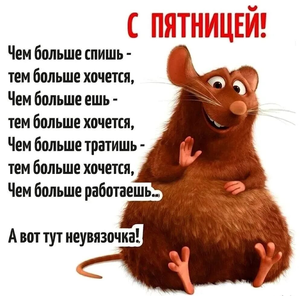 Смешно утро пятницу. Доброе утро пятницы. с добрым утром пятницы прикольные. анекдоты про пятницу в картинках. доброй пятницы прикольные.