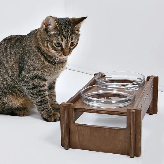 Кормушки для котов в китае. Миска для кошек. Посуда с кошками. Миски для кошек на подставке. Подставка для кошачьих мисок.