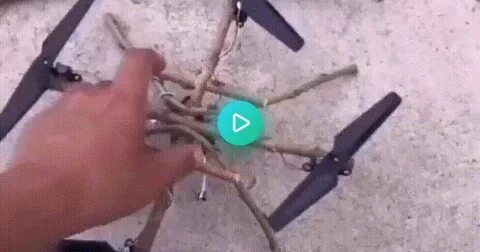 Отбивается от дрона