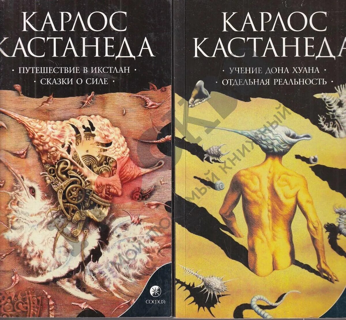 Согласно учению карлоса кастанеды физической. Учение Дона Хуана книга. Дона Хуана (Карлос Кастанеда). Отдельная реальность Карлос Кастанеда книга. Кастанеда учение Дона Хуана отдельная реальность.