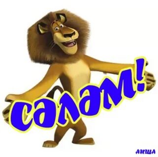 Сэлэм