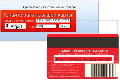 Электронная карта баланс. Номер транспортной карты. Номер карты. Баланс транспортной карты. Транспортная карта номер карты.