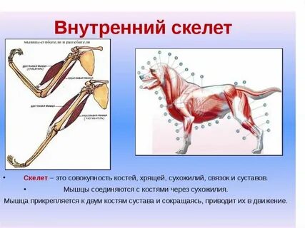 Развитие опорных городов