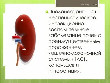 Инфекционная почка