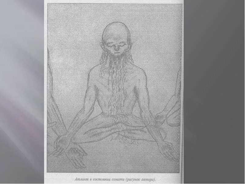 Нирвикальпа. Эрнст мулдашев лемурийцы атланты. Состояние сомати это что такое. Нирвичара самадхи. Мулдашев атланты лемурийцы.