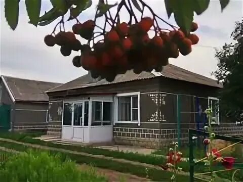 Село подсосново алтайский край. Протасово алтайский край. Погода протасово алтайский край немецкий. Погода протасово алтайский край немецкий. Полевое ннр.