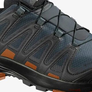 Salomon xa pro 3d v8 gtx