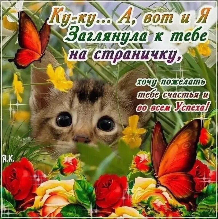 Приветик хорошего дня и отличного настроения. Приветствие с добрым днем. Хорошего дня и отличного настроения. Добрые пожелания на каждый. Открытки прекрасного дня и отличного настроения.