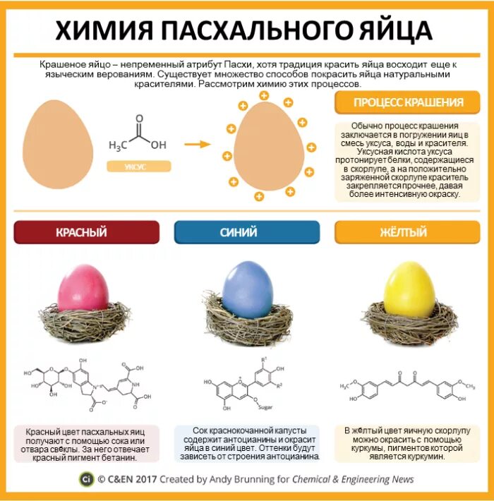 Как получается яйцо. Химия пасхального яйца. инфографика яйцо. яйца на пасху химией. красители для яиц химия.