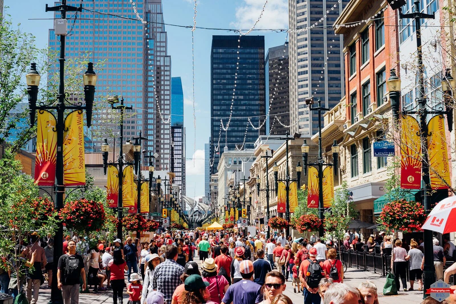 Нью Зиленд Канада. Население Торонто,Калгари. Люди в городе. Жизнь города.