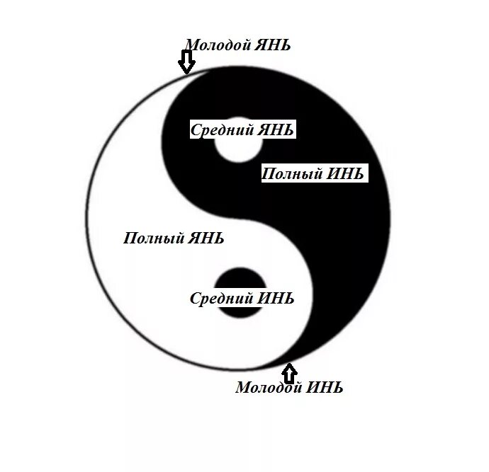 Инь белый или черный. Инь-Янь что это значит. Инь. Энергия Инь и Янь. Инь Янь характеристики.