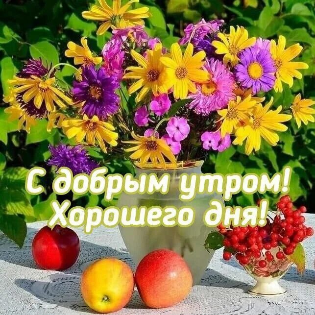 Доброе утро друзья! Пусть выходные принесут вам только положительные эмоции! При