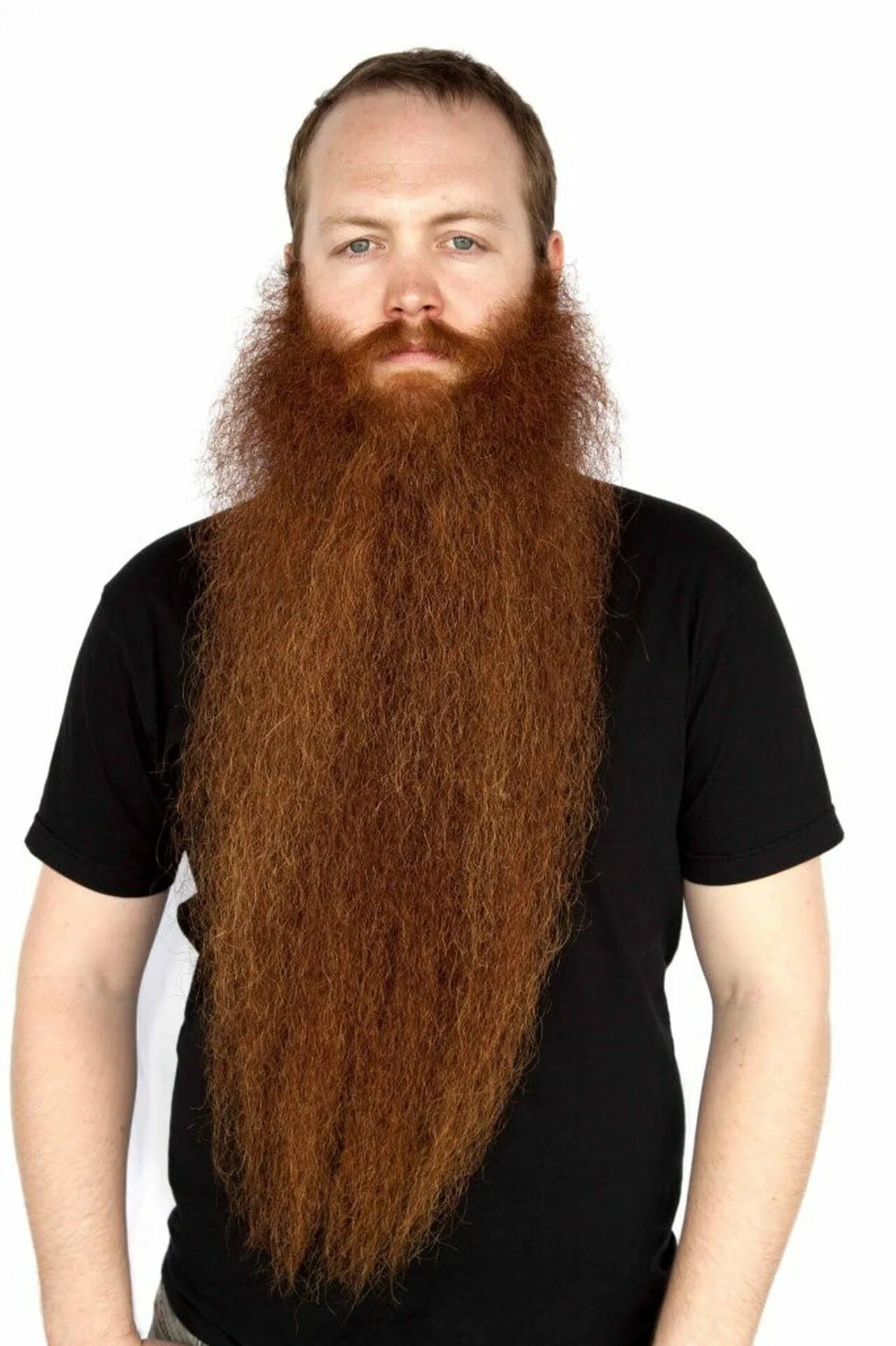 Длинная бородка. Ханс Лангсет борода. Длинная борода. Огромная борода. Длинная борода у мужчин.