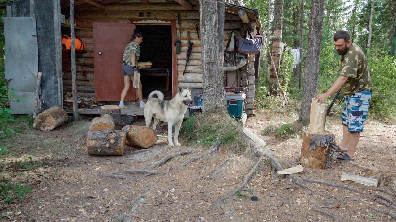 Живем в тайге 1. Жизнь в тайге. Тайга жизнь в тайге. Тайга как живут люди видео.