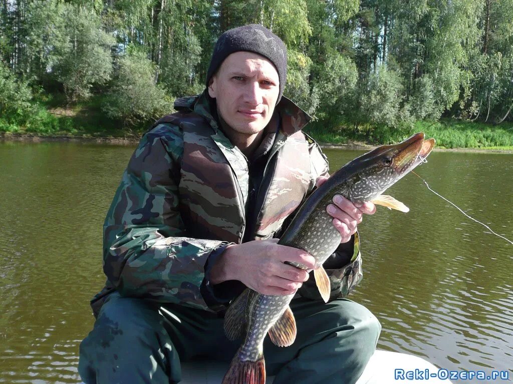 Прогноз клева мирный. Прогноз клева мирный