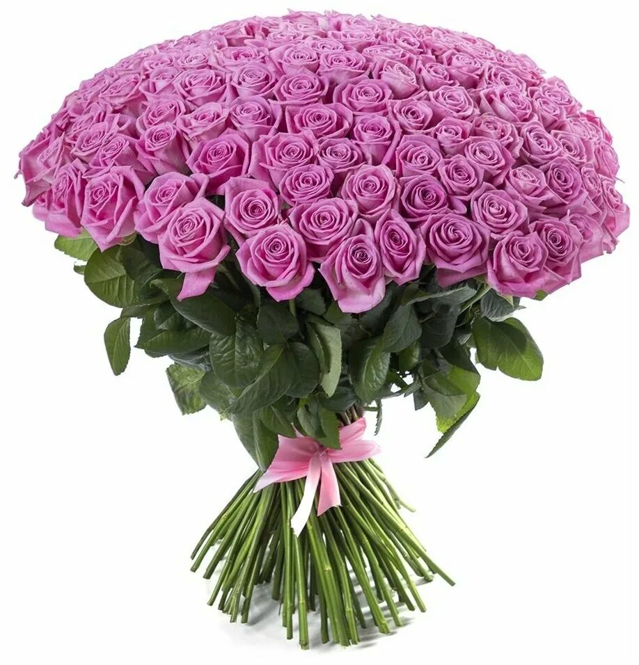 Розы 50 штук. Розы 51 шт. Розы 101 шт. Букет 50 роз. Букет из красных роз из 50 штук.