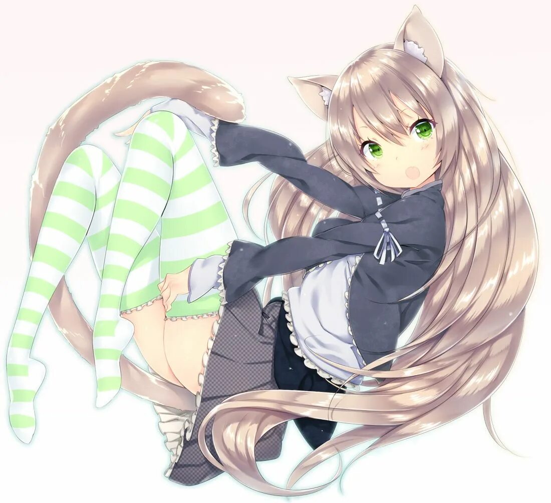 Neko petting. Неко тян.