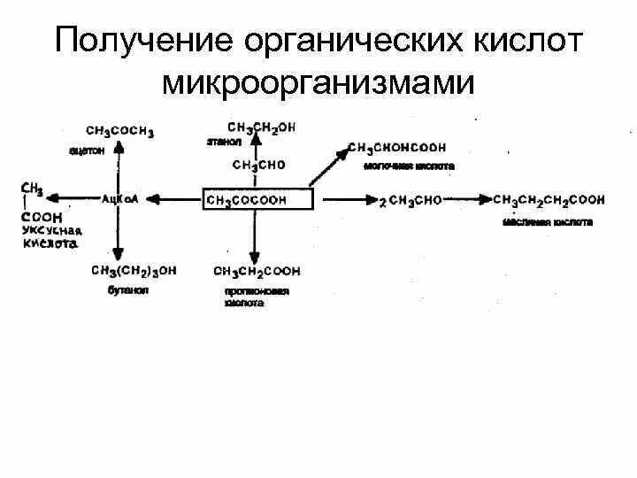 Получение карбоновых кислот из алканов. Органическая кислота получение. Окисление щавелевоуксусной кислоты. Органические кислоты методы получения. Способы получения органических кислот.