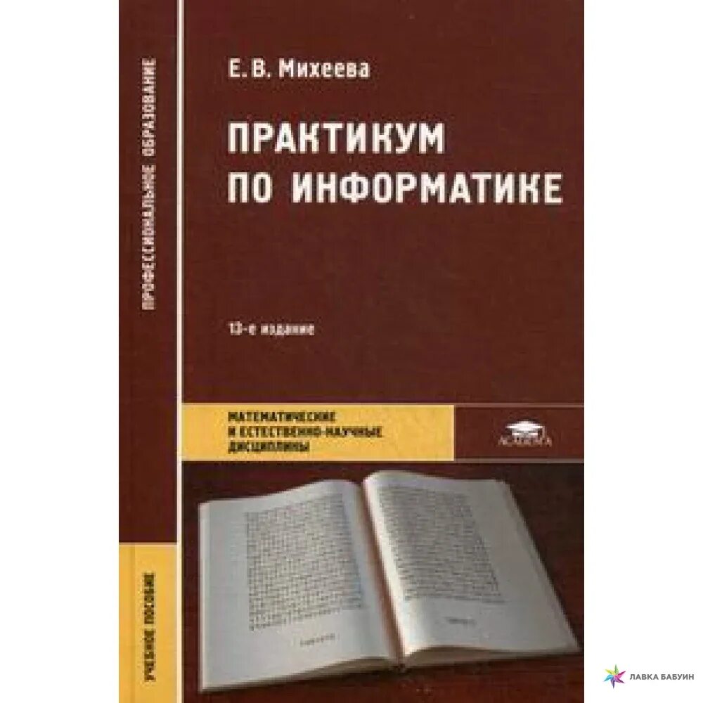 Михеевой е в информатика. Практикум по информатике Михеева СПО. Учебное пособие Информатика практикум Михеева. Практикум по информатике Михеева 12 издание. Е. В. Михеева практикум по информатике 5-е издание.