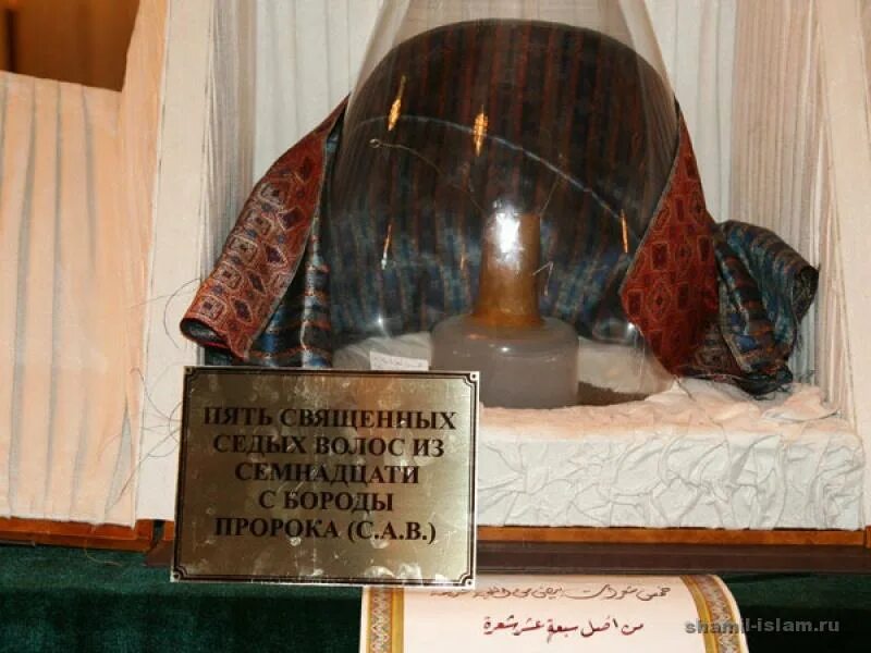 Где сейчас мухаммад