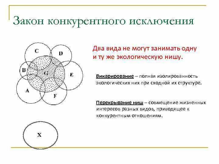 Закон конкурентного исключения. Примеры конкурентного исключения. Принцип конкурентного исключения примеры. Принцип конкурентного исключения