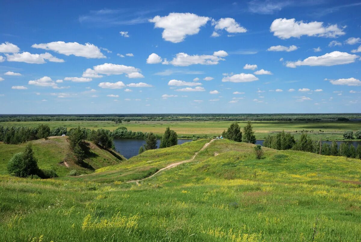 В родных местах дорога. Природа села Константиново Родины Есенина. Природа Константиново Рязанской области. Природа села Константиново Рязанской области. Есенина в Константиново природа.