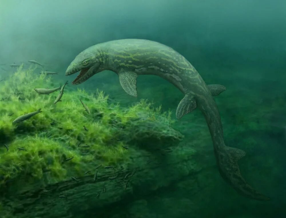 Мозазавр Прогнатодон. Мозазавры Mosasauridae. Мезозойский Тилозавр. Prognathodon lutugini.