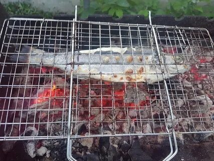 Толстолобик на мангале на решетке рецепт