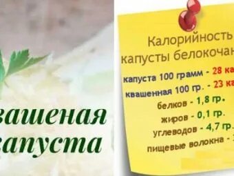 Сколько калорий в 100 граммах квашеной капусты. Сколько калорий в 100 граммах квашеной капусты
