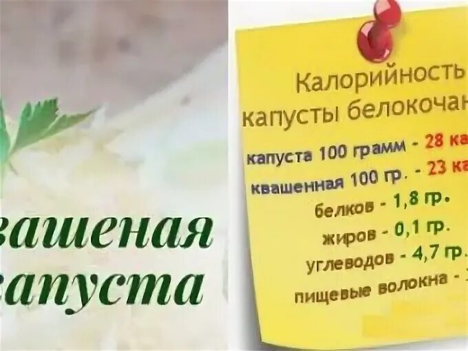 Калории в квашеной капусте