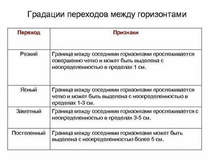 Между горизонтами