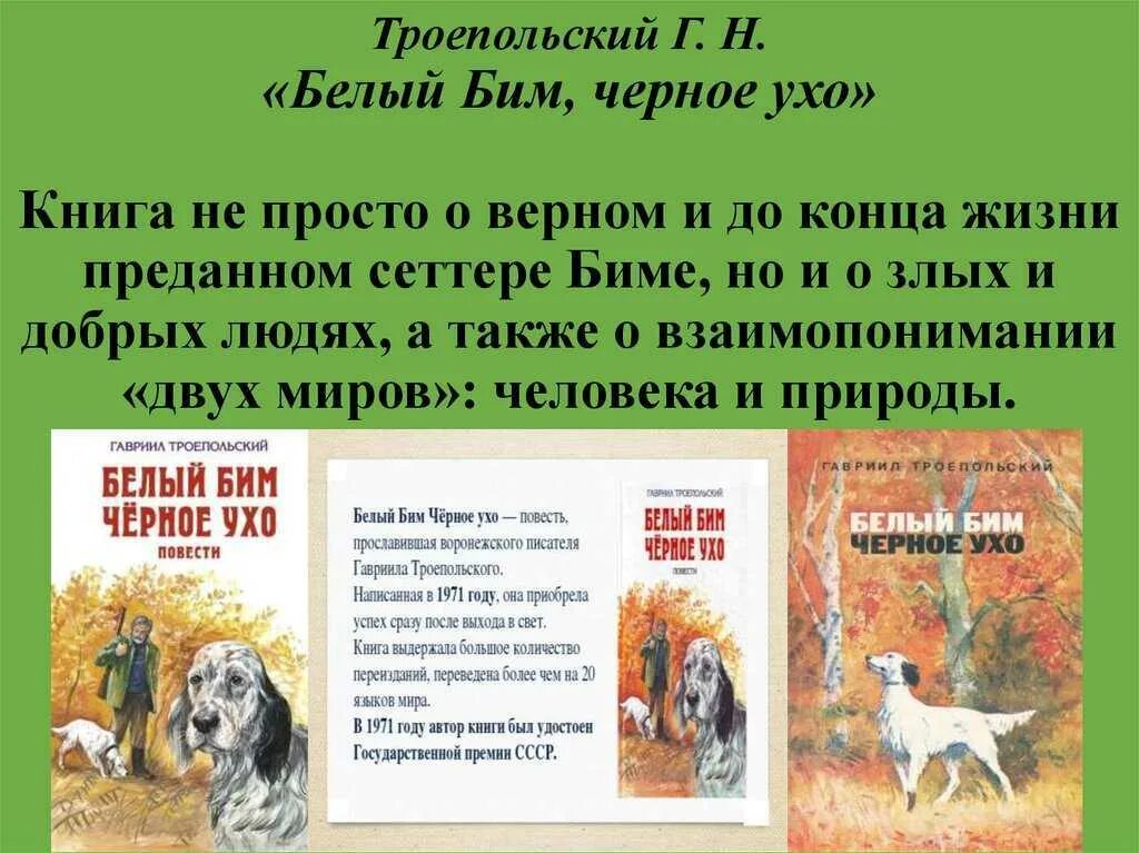 Читать книгу белый бим черное. «белый бим, черное ухо», г.н. троепольский. троепольский белый бим черное ухо книга. 50 лет книге троепольского белый бим черное ухо. белый бим черное ухо (троепольский г.н.) {болдетбибл} аст.
