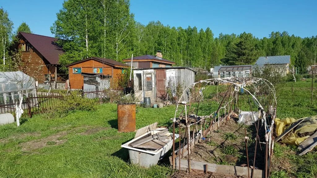 Жеребцово новосибирск школа. Жеребцово курская область. Озеро в жеребцово новосибирск. Жеребцово новосибирская область. Жеребцово новосибирская область.