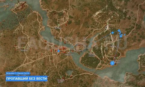 Аренария ведьмак 3
