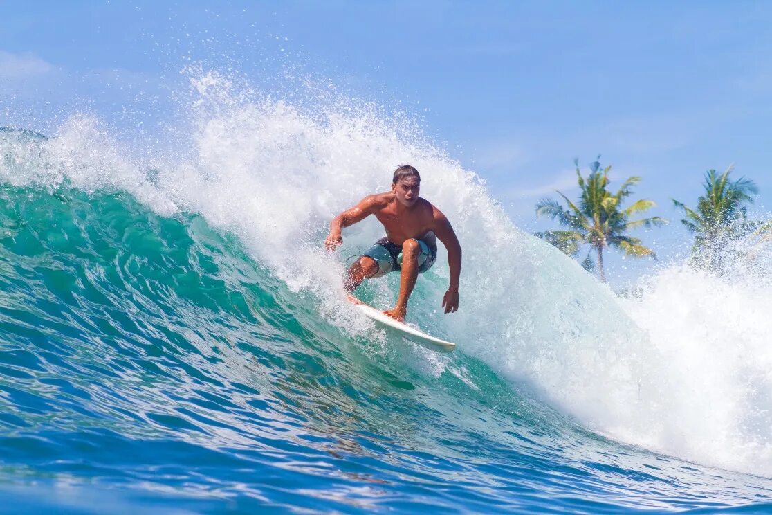 Ломбок Индонезия серфинг. Серфинг в азиатских странах. Мужчина на Бали. Серфинг на Бали фото мужчины. Хочешь быть волной