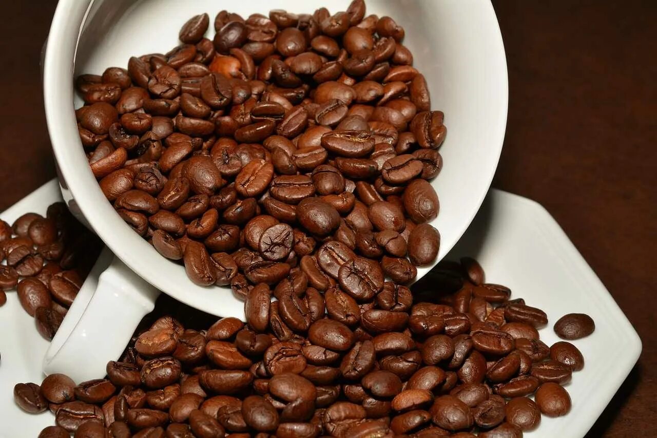 Кофейные зерна. Кофе в зернах. Кофе жареный в зернах. Жареный кофе. Картинка зерна кофе