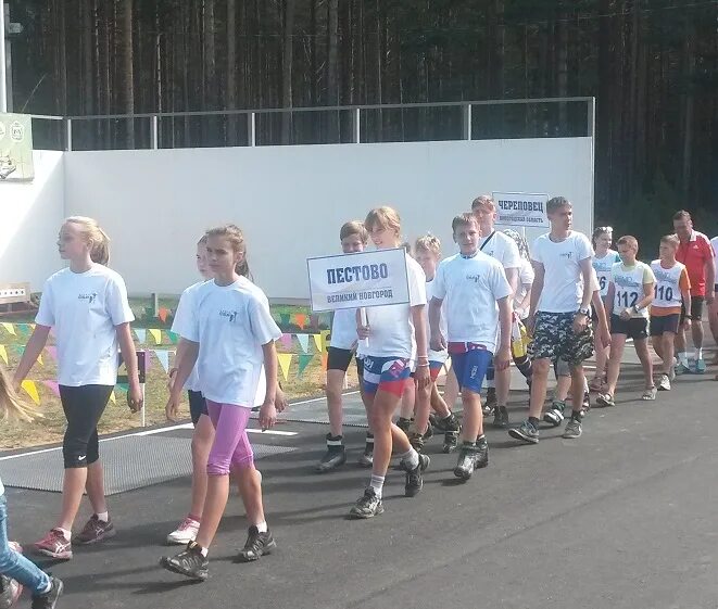 Пестово спорт. Пестово спорт. Пестово гольф. Школа 2 пестово. Школа пестово.